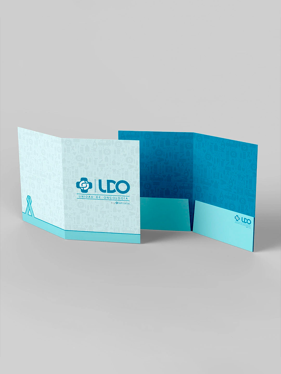 Carpeta institucional — Estética